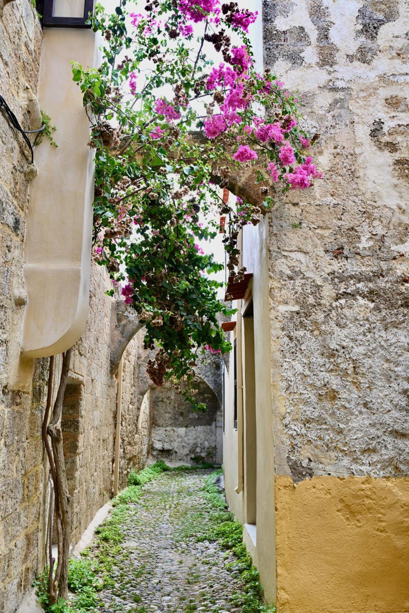 Penelope Garden House Old Town Rhodes City Exterior foto